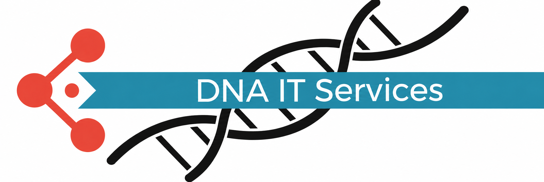 DNA IT Services